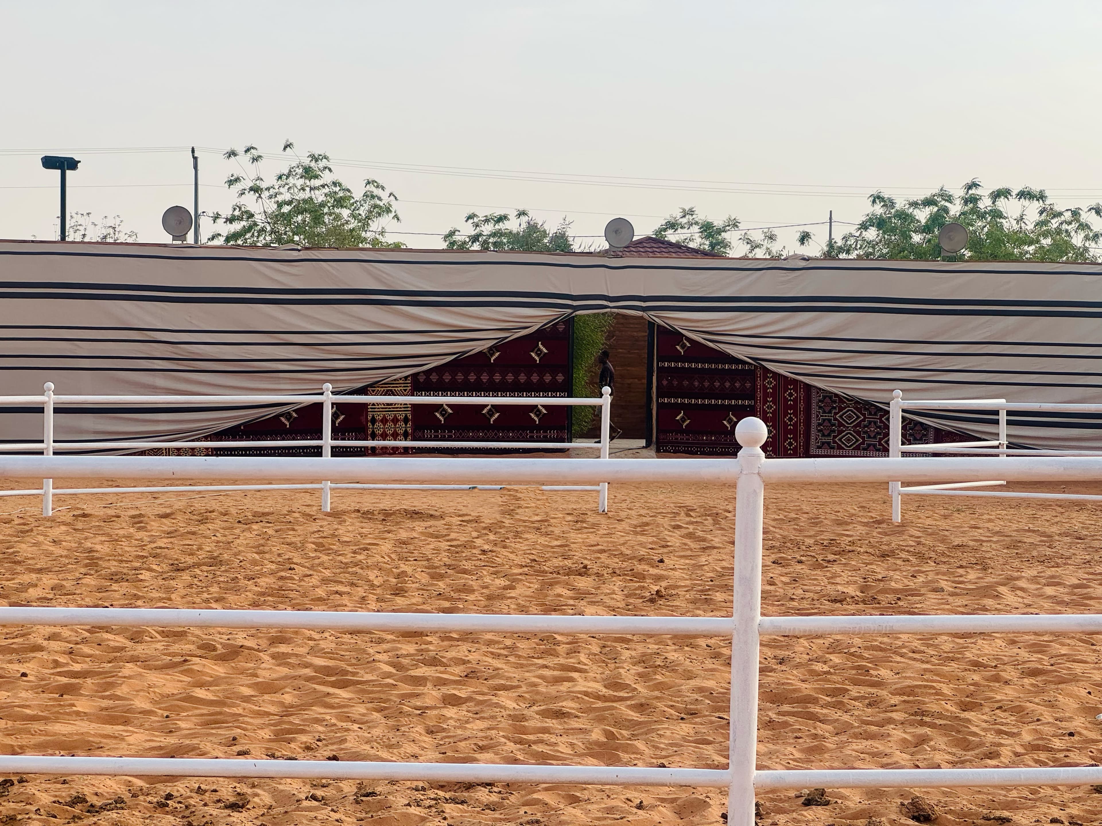 Red Sands Adventure and Arabian Camp Experience