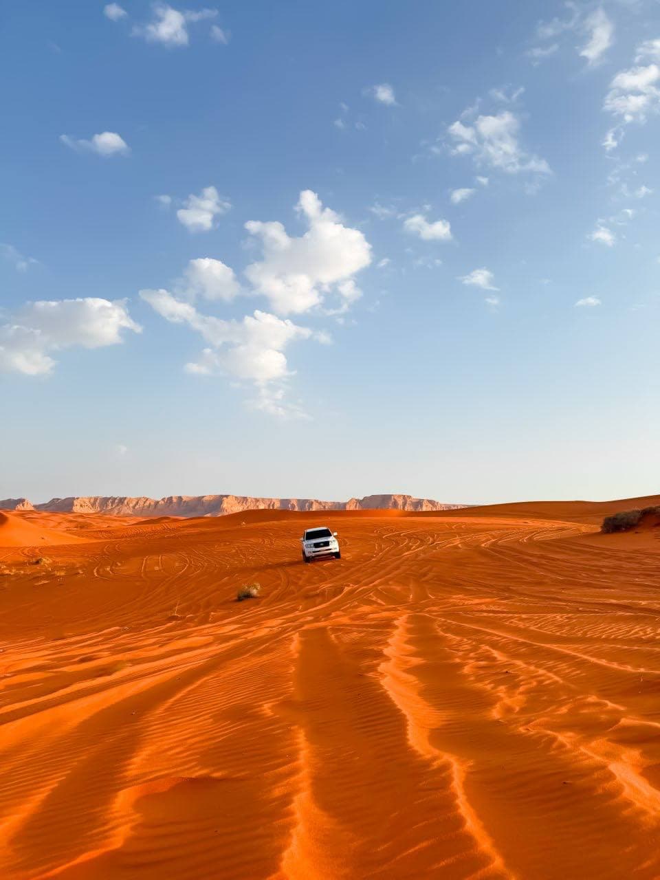 Red Dunes Safari Tour with Camping