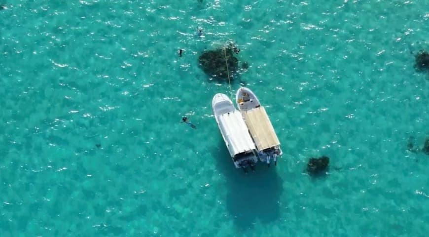 Jeddah: A group island trip to Bayadah Island